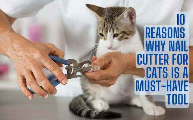nail cutter for cats