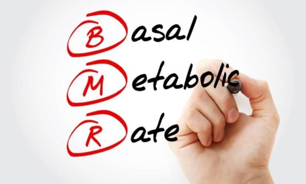 basal metabolic rate (bmr)