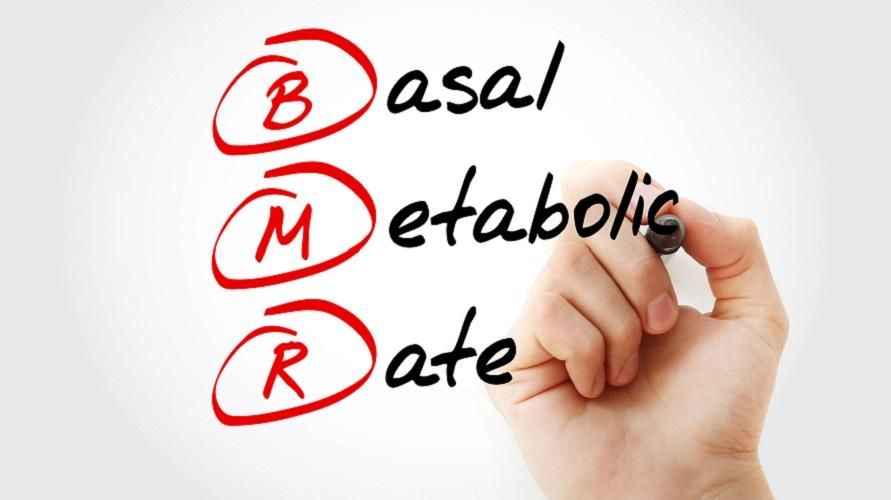 basal metabolic rate (bmr)