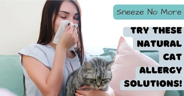 natural cat allergy remedies