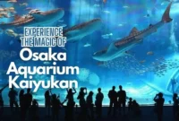 osaka aquarium kaiyukan